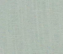 Світло-сірий