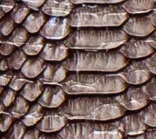 Коричневий