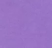 Фіолетовий