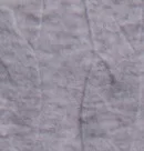 Світло-сірий