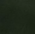 Темно-зелений