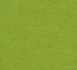 Темно-салатовий
