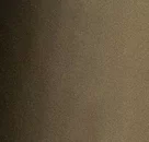 Темно-бежевий