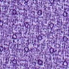 Сиреневый